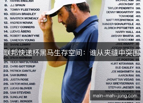 联邦快递杯黑马生存空间:谁从夹缝中突围 联邦快递杯黑马生存空间:谁从夹缝中突围
